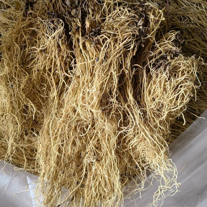 细辛，选，水洗，辽细辛，关书药业批发中药材