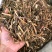 大山中草药猫眼草泽漆干品无提取