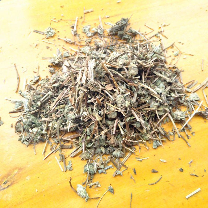 大山中草药猫眼草泽漆干品无提取