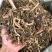 大山中草药猫眼草泽漆干品无提取