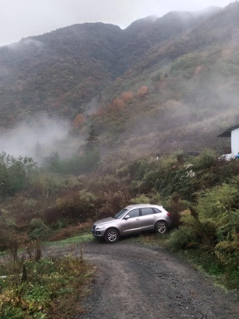 山林寻求志同道合的有缘人合作或转租。土地在乐山市金口河区