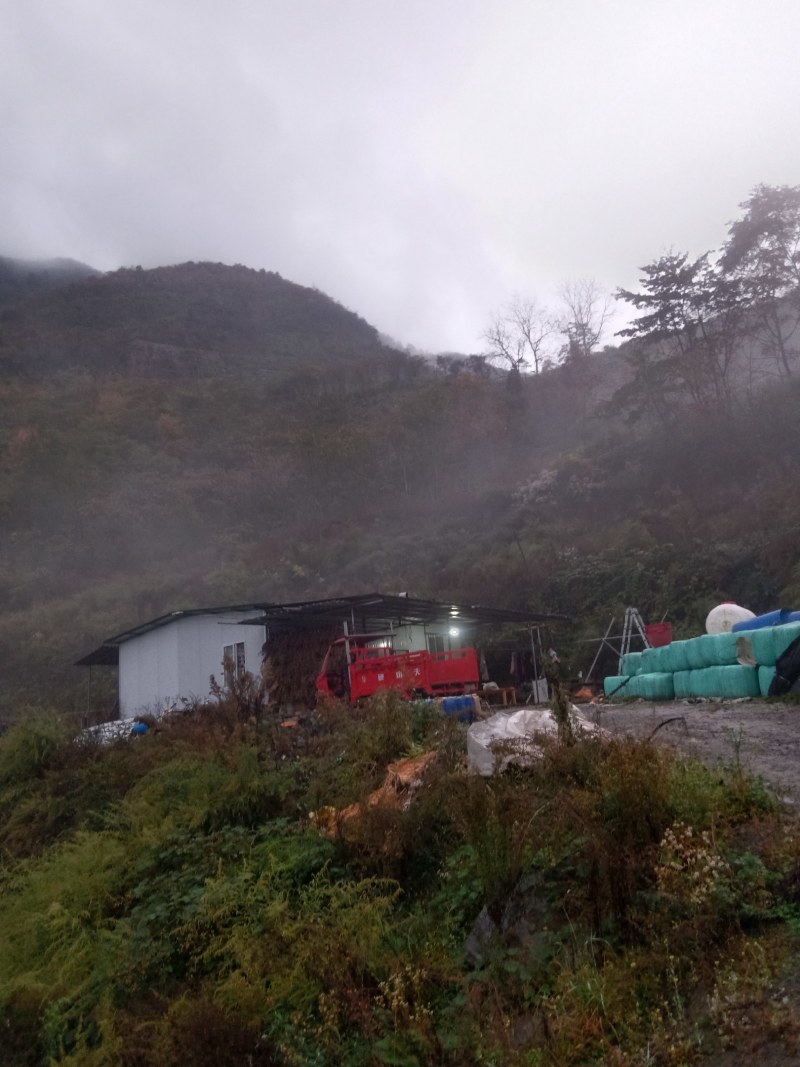 山林寻求志同道合的有缘人合作或转租。土地在乐山市金口河区