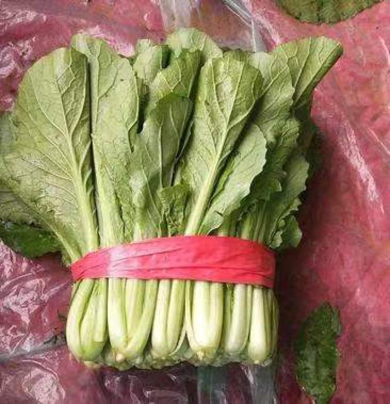 河北邯郸精品小白菜，毛白菜常年供应，货源充足，全国发货