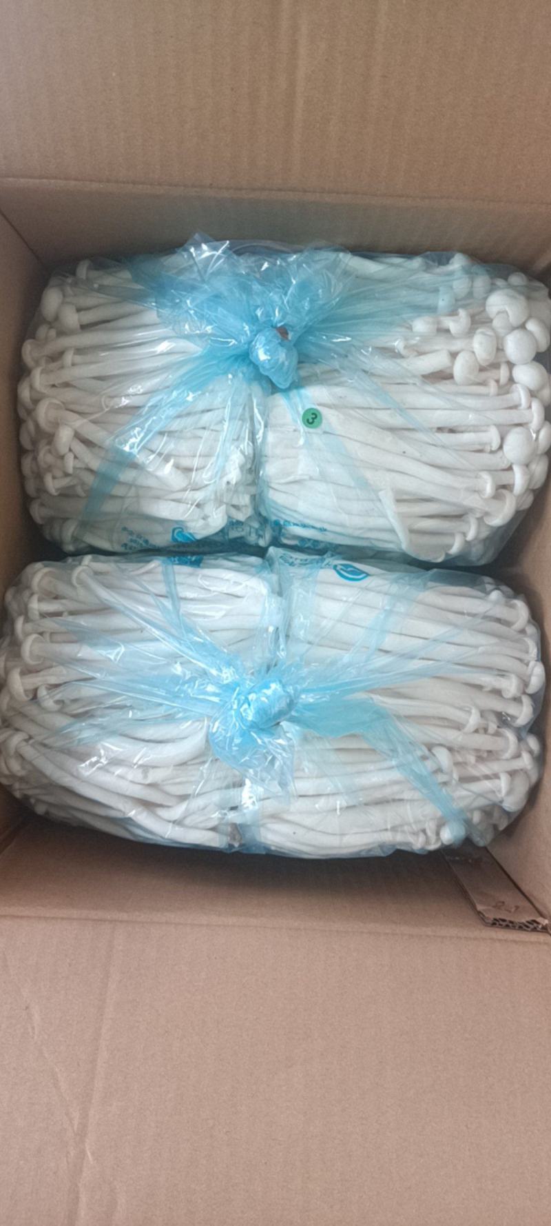 白玉菇——海鲜菇