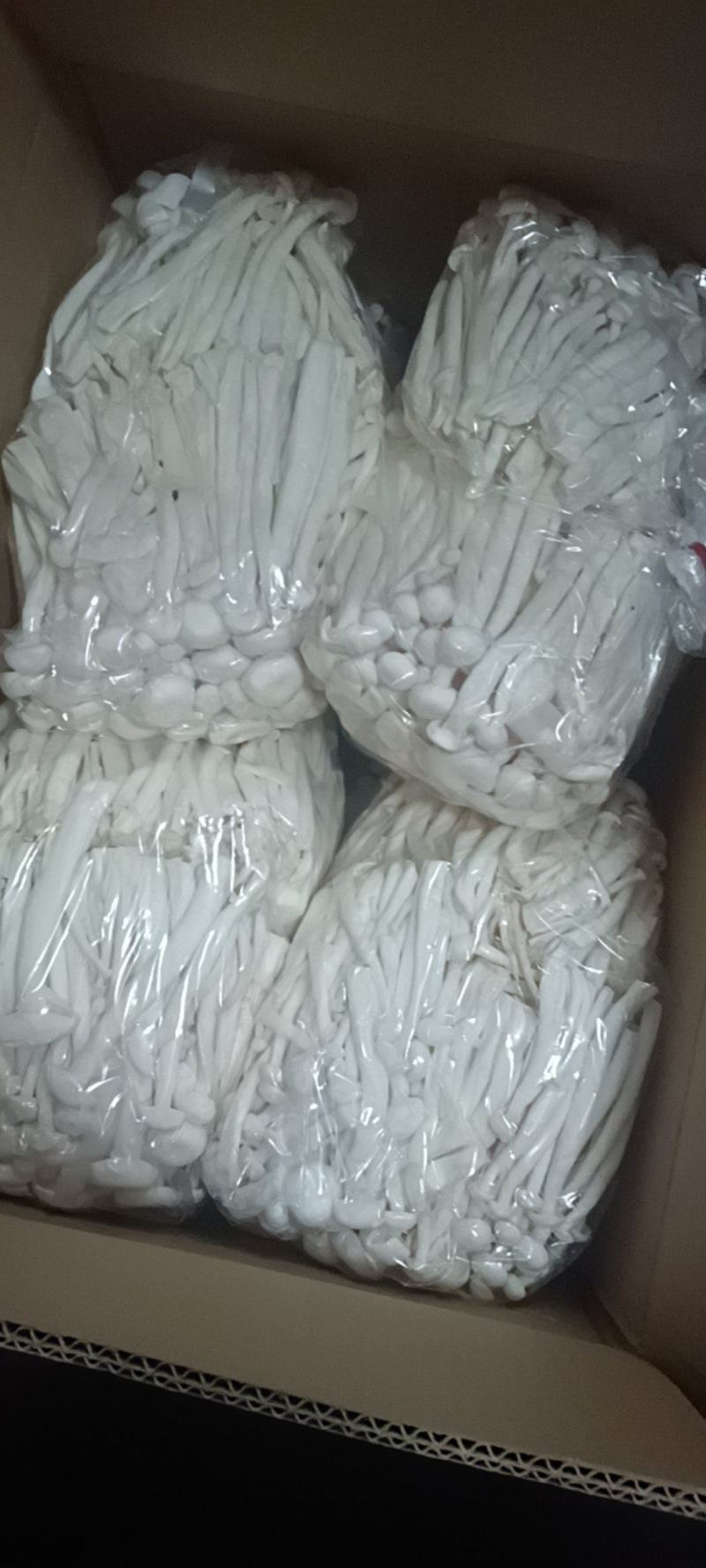 白玉菇——海鲜菇