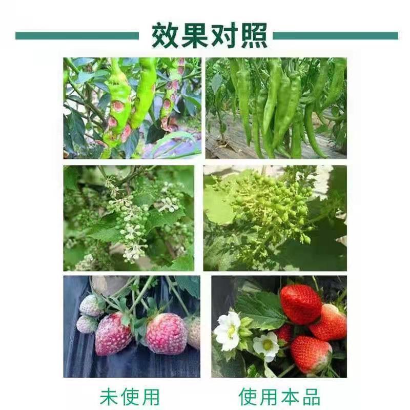 叶面肥：糖醇钾膨果着色，增加坐果率提高品质。