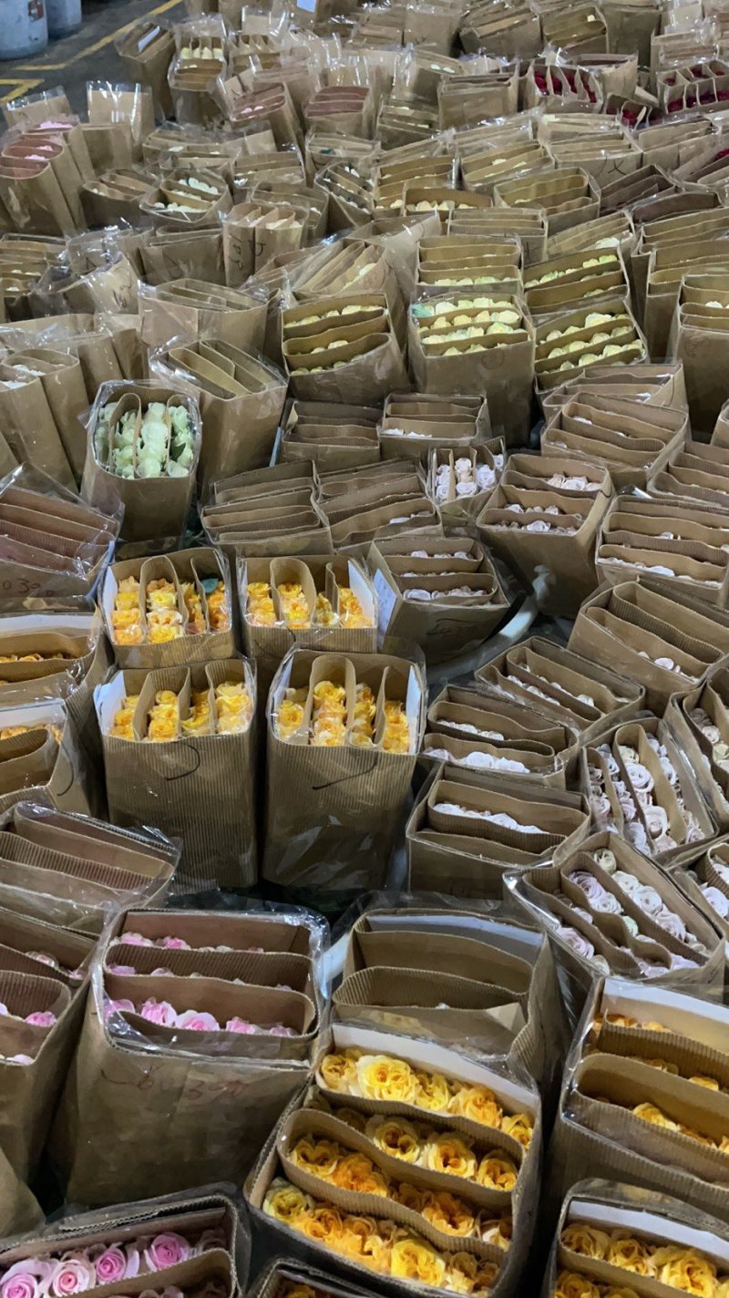 大量玫瑰有货，批发商快联系