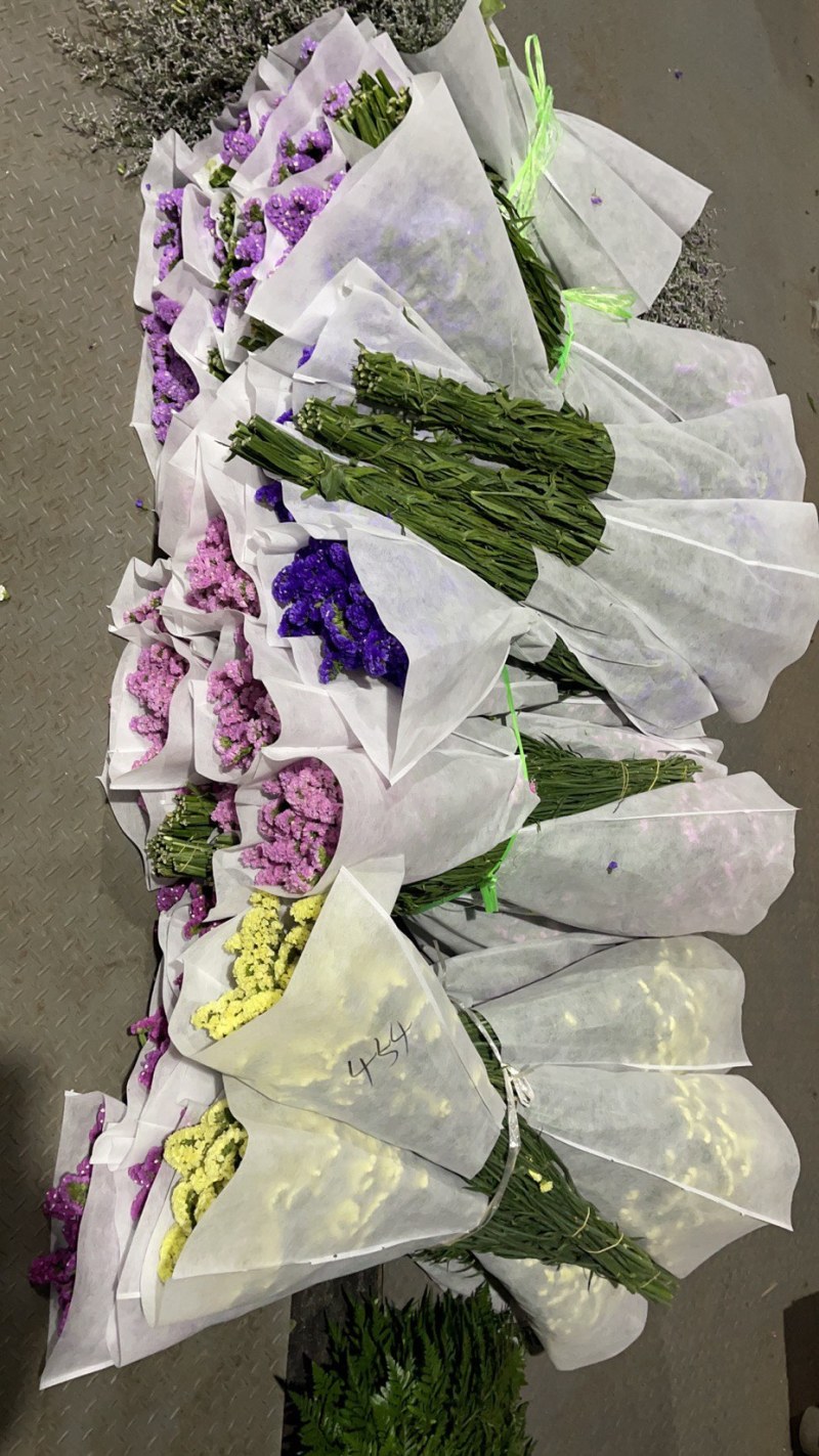 大量玫瑰有货，批发商快联系