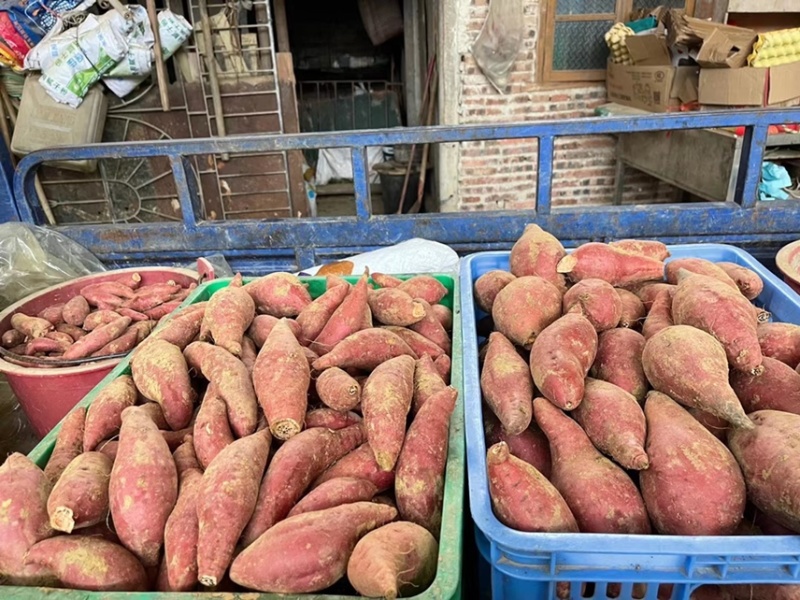 黄心甜署