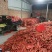 大荔万亩沙地胡萝卜大量上市供应社区平台，电商，市场