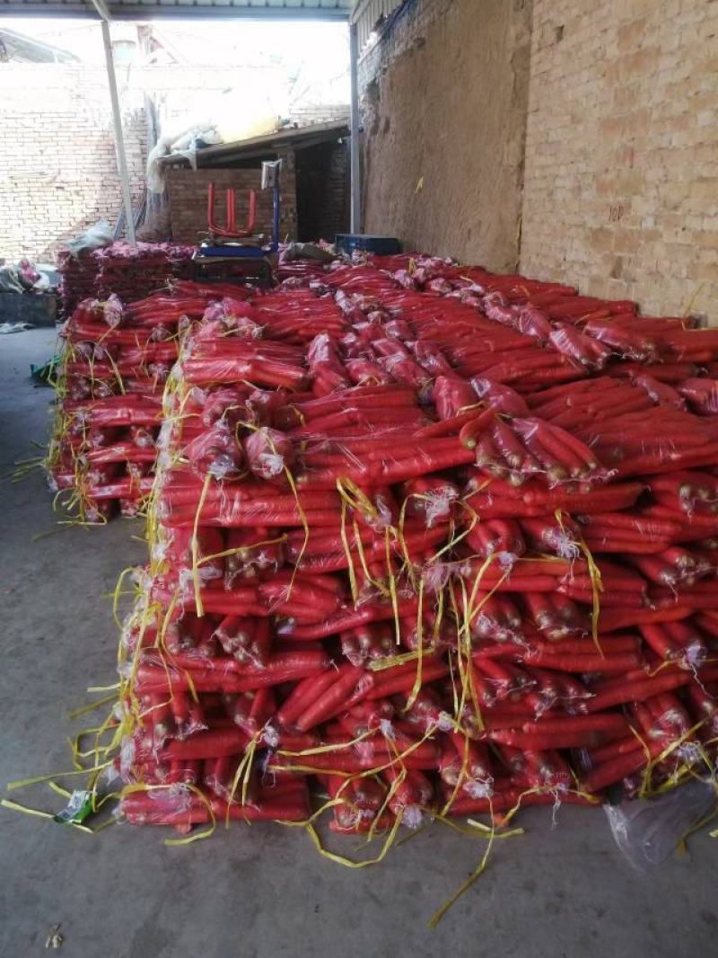 大荔万亩沙地胡萝卜大量上市供应社区平台，电商，市场