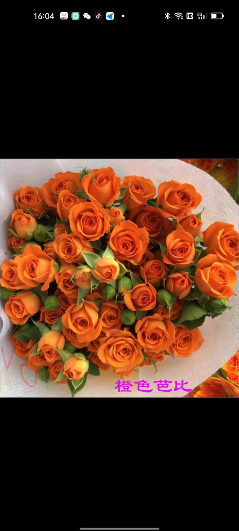 玫瑰鲜花基地直销鲜切花常年供应地摊花店婚庆