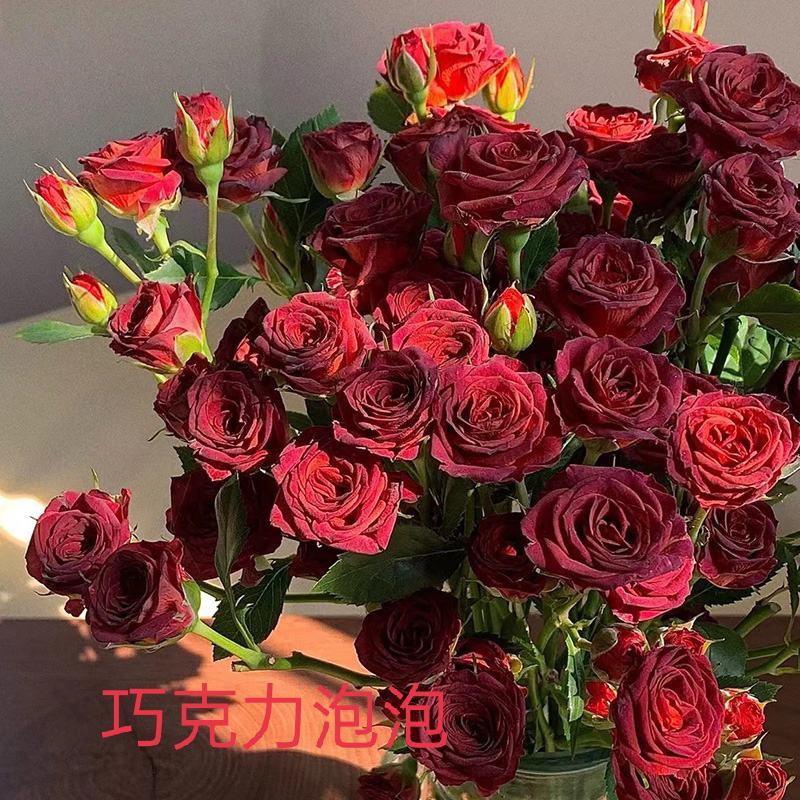 玫瑰鲜花基地直销鲜切花常年供应地摊花店婚庆
