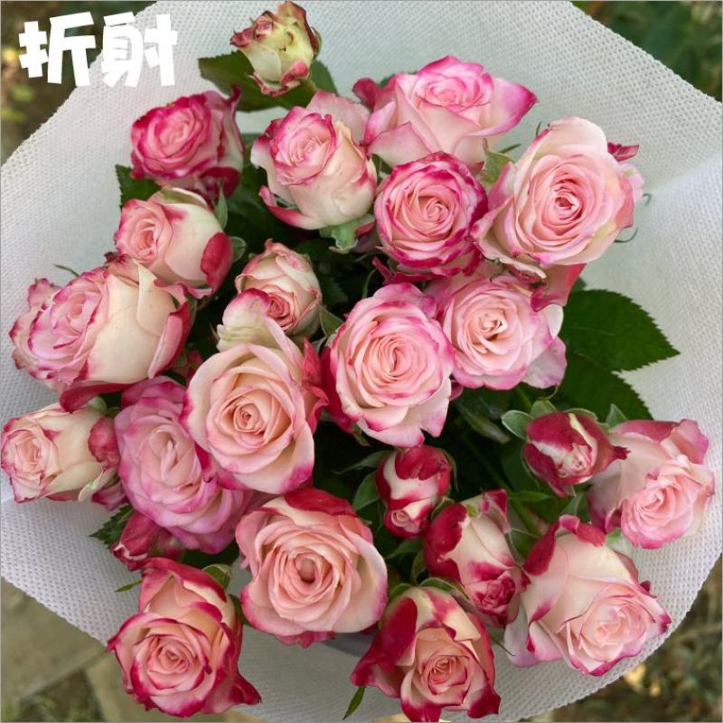 玫瑰鲜花基地直销鲜切花常年供应地摊花店婚庆