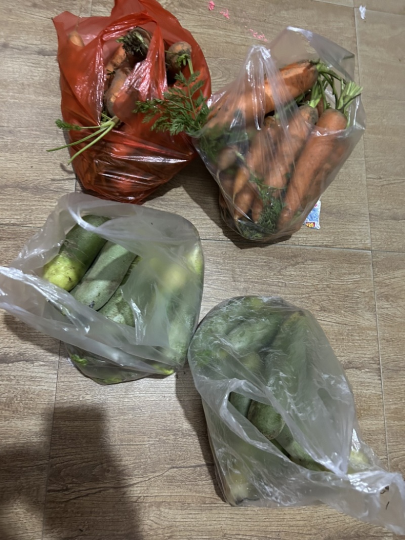 胡萝卜产地200亩