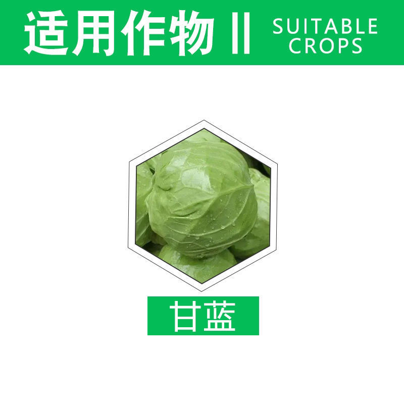 中科透皮3.2%阿维菌素红蜘蛛斑潜蝇根结线虫果树杀虫