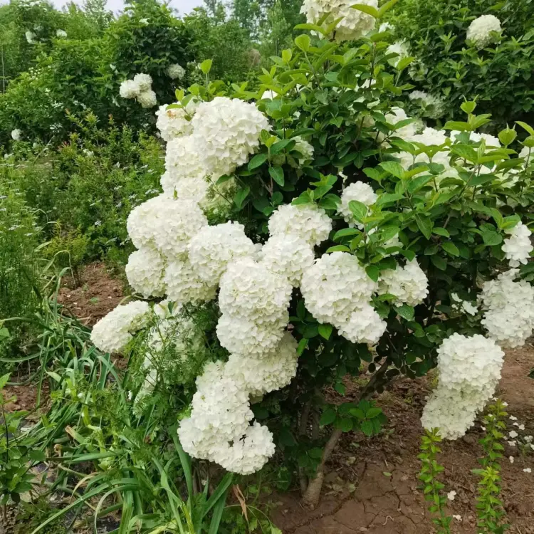 637f32c9b827730a88880b1c050005