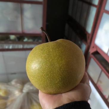 华山梨九零精品！