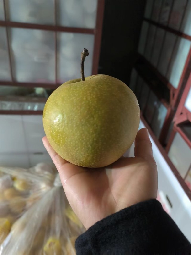 华山梨九零精品！