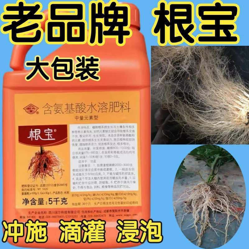 国光根宝多肉花卉果树催根生根粉剂壮根促根剂氨基