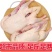 散养大鹅当年鹅吃草粮食无饲料添加