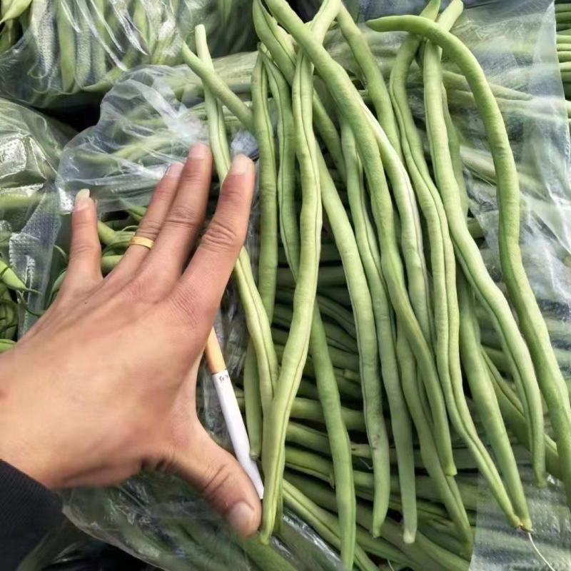 云南弥勒无筋豆大量上市中