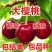 樱桃苗厘子树苗宾莹智利车厘子现挖现发包成活包结果