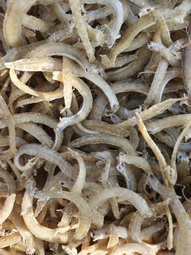 凤尾鱼今年新货干度好油炸原料货源充足质量保证