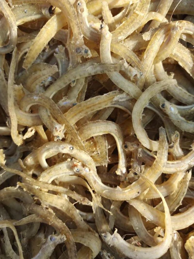 凤尾鱼今年新货干度好油炸原料货源充足质量保证