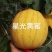 星光黄蜜西瓜种子皮薄金黄皮红瓤西瓜种子大红瓤糖度高