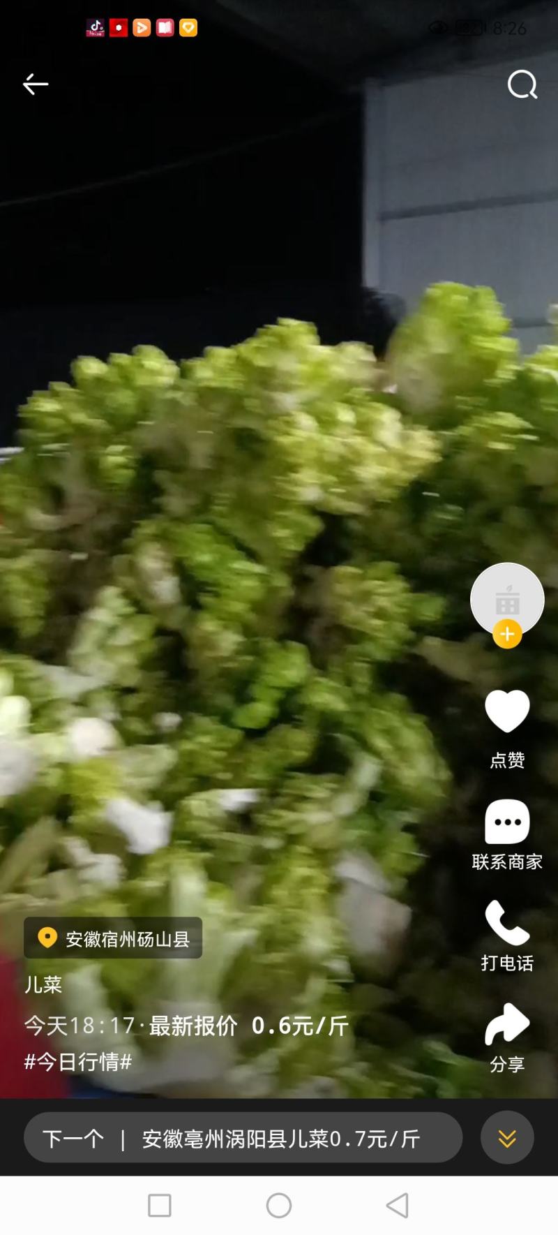 儿菜