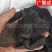 【包邮】肉苁蓉切片内蒙古肉苁蓉软大芸油苁蓉量大从优