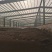 丹参芋头山药红薯土豆等块状作物专用有机肥