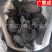 【包邮】肉苁蓉切片内蒙古肉苁蓉软大芸油苁蓉量大从优