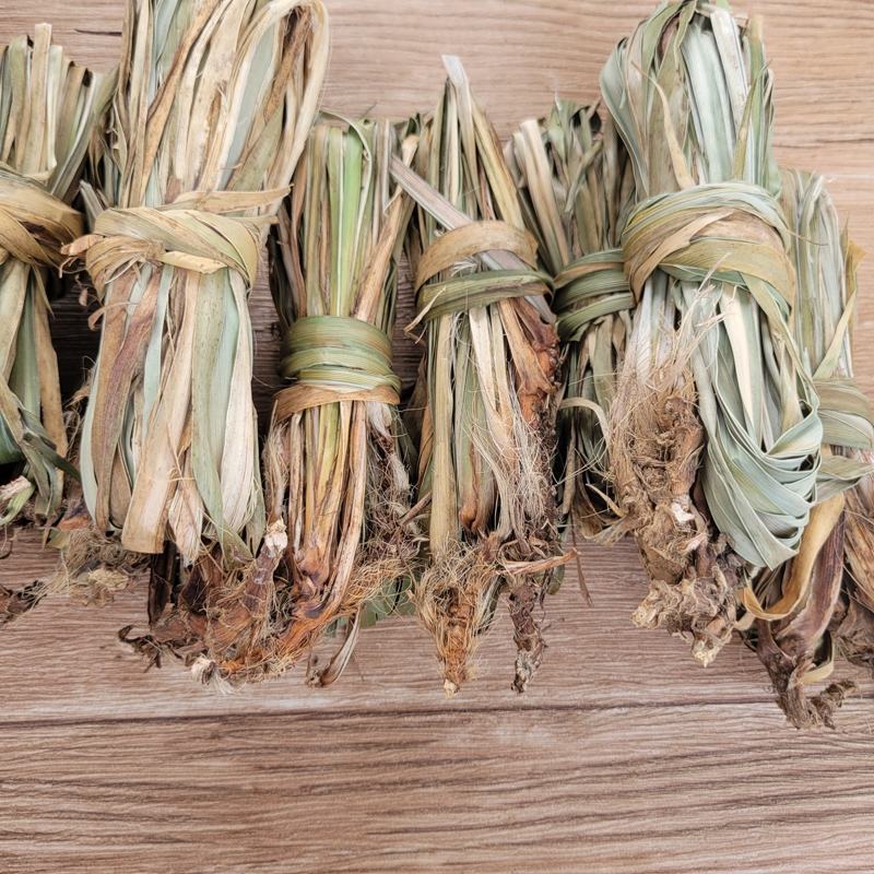 石菖蒲附石龙根菖蒲草水培盆景植物龟缸养鱼室内外微景观庭！