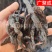 【包邮】肉苁蓉切片内蒙古肉苁蓉软大芸油苁蓉量大从优