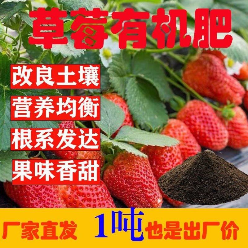 草莓樱桃蓝莓番茄桑椹葡萄猕猴桃浆果类专用有机肥