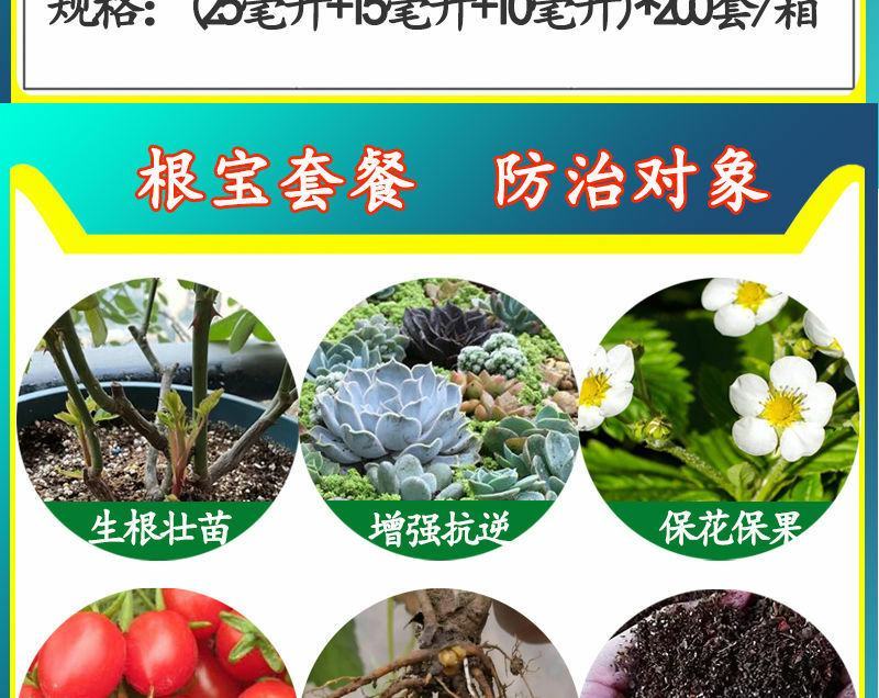 国光根宝套餐花卉蔬菜根腐病茎基腐病土壤消毒促生根叶面肥杀