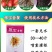 国光根宝套餐花卉蔬菜根腐病茎基腐病土壤消毒促生根叶面肥杀