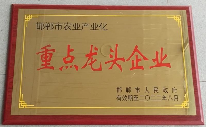 葡萄猕猴桃草莓樱桃蓝莓无花果生物增甜有机肥