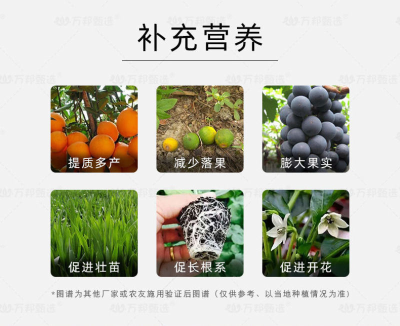 国光甲润尔钾磷酸二氢钾润尔甲花肥营养土肥有机肥叶面肥