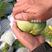 绿亨青香脆玉甜瓜种子特甜高品质杂交薄皮甜瓜种子绿宝石甜瓜