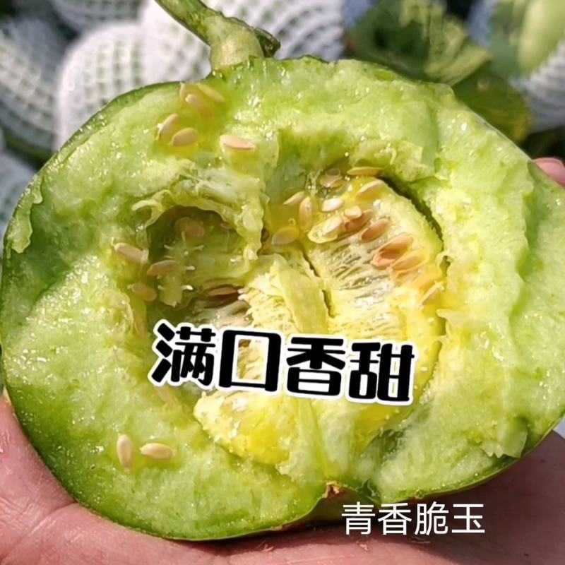 绿亨青香脆玉甜瓜种子特甜高品质杂交薄皮甜瓜种子绿宝石甜瓜