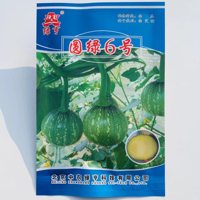 圆绿6号一串玲南瓜种子微黄心脆嫩微甜一串铃嫩南瓜种籽