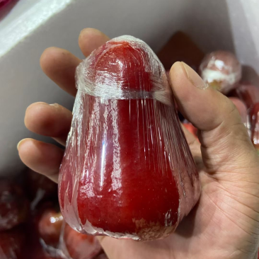 海南黑金刚