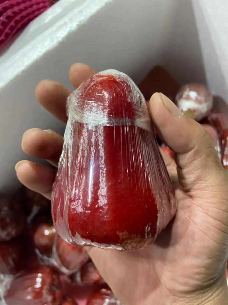 海南黑金刚