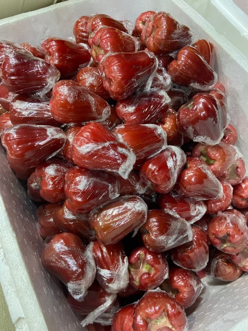 海南黑金刚