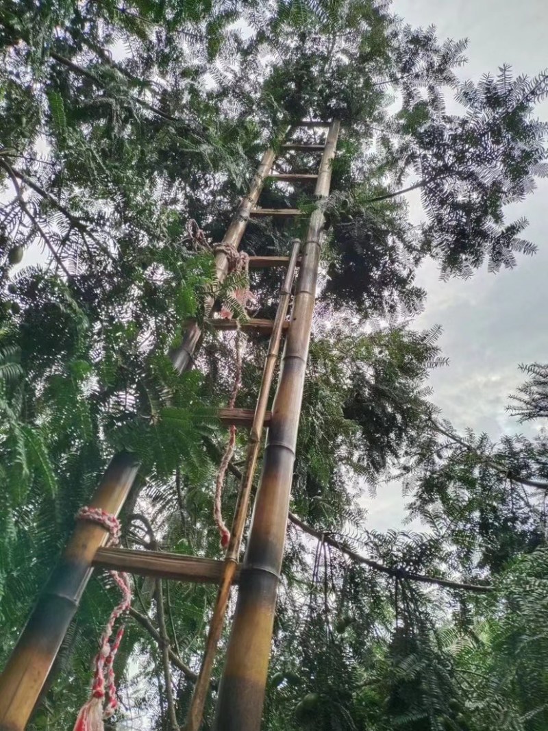 礼盒罐装香榧