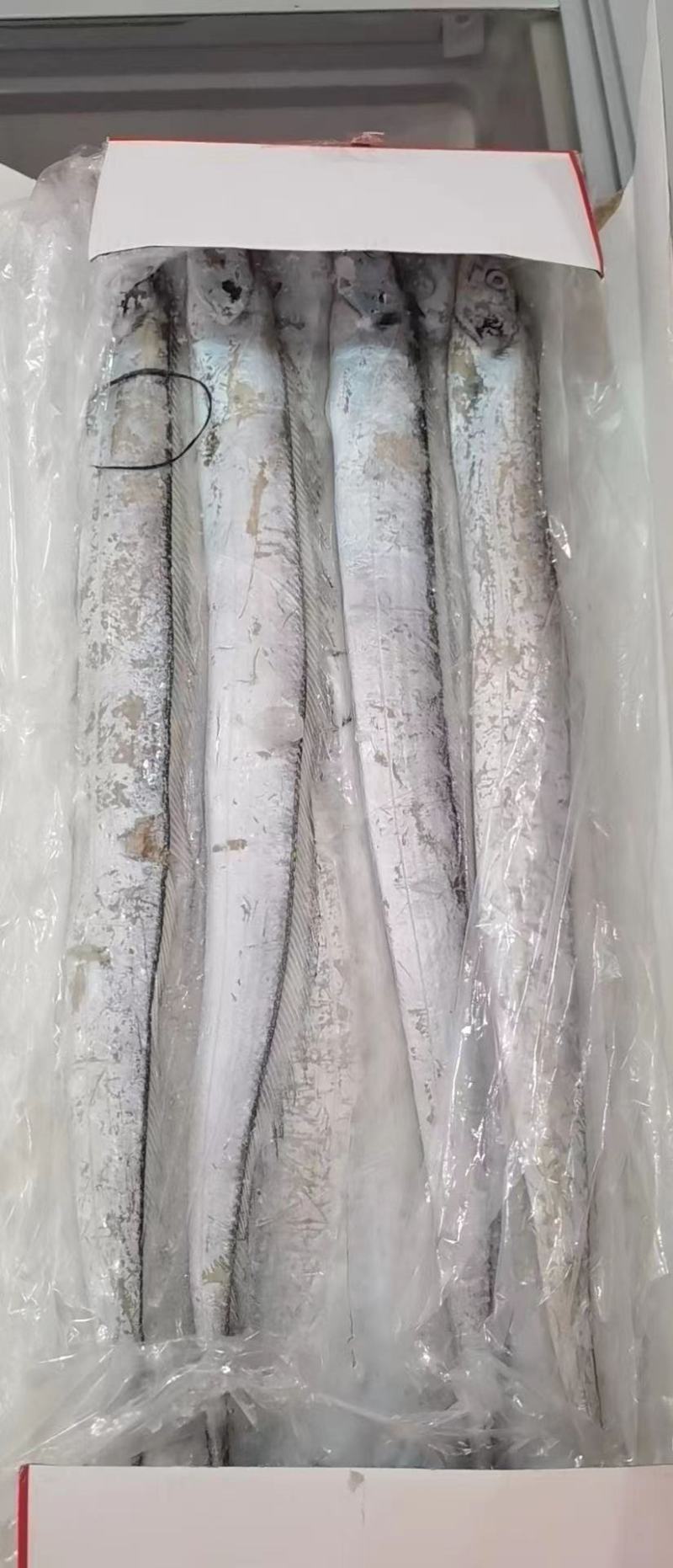 舟山带鱼厂家直销