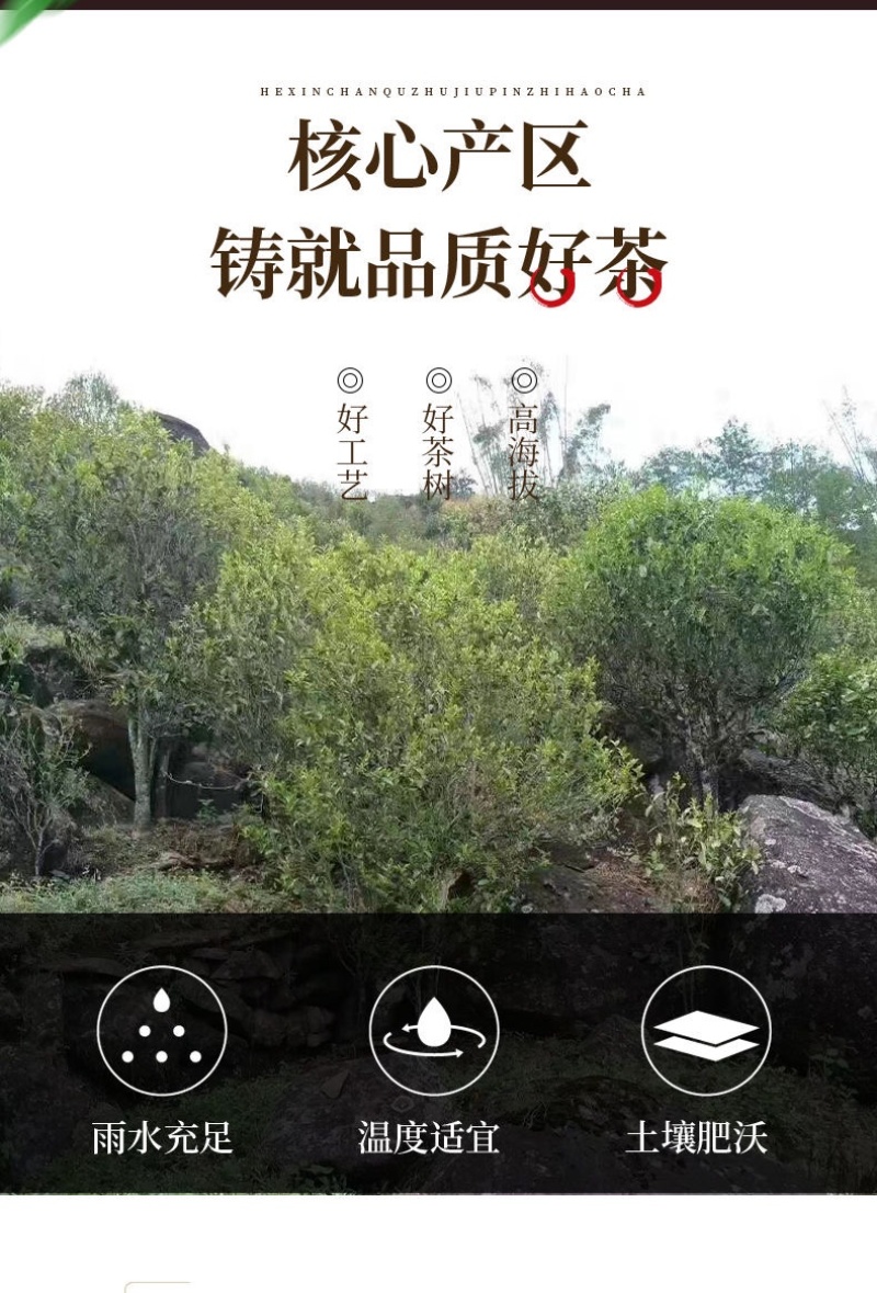 云南省临沧上品普洱茶生普357克饼茶古树茶老树茶